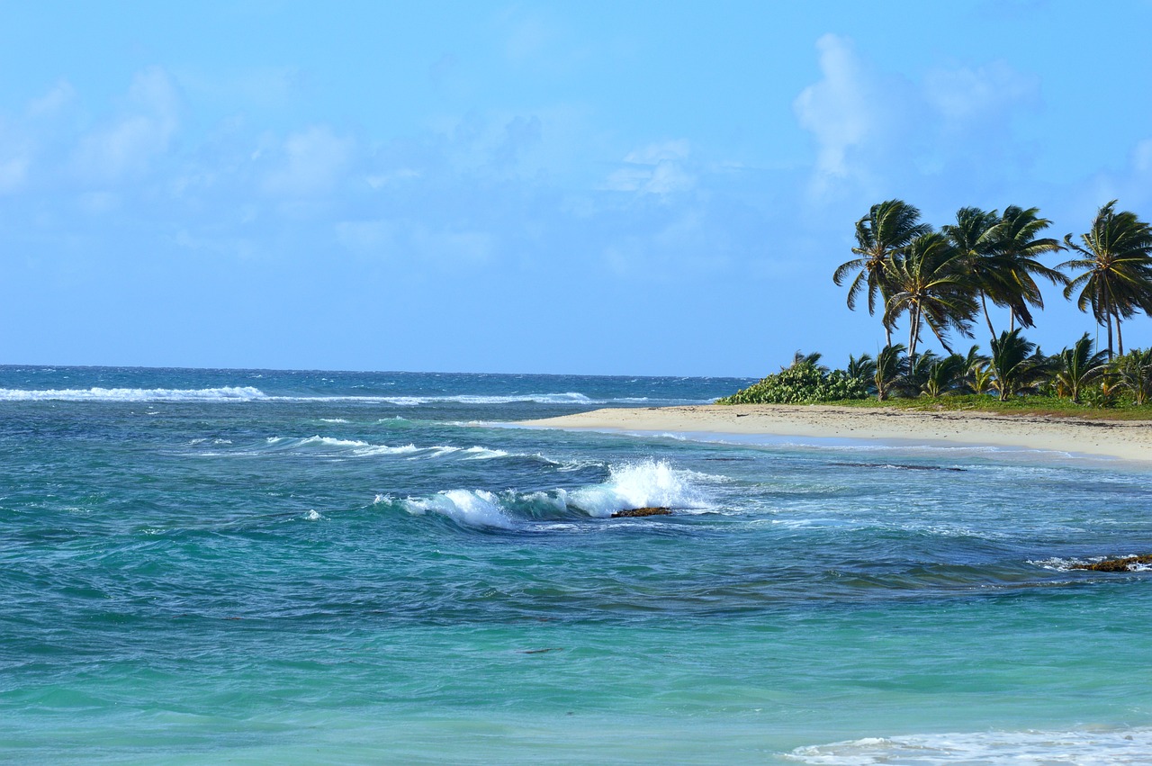 Évasion tropicale et routes créoles : circuit voyage Guadeloupe
