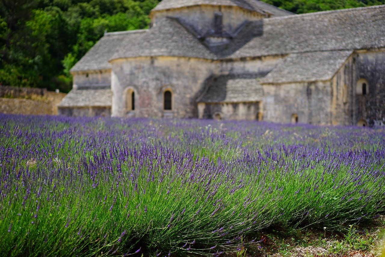 Lavandes, calanques et art de vivre : mon circuit voyage Provence