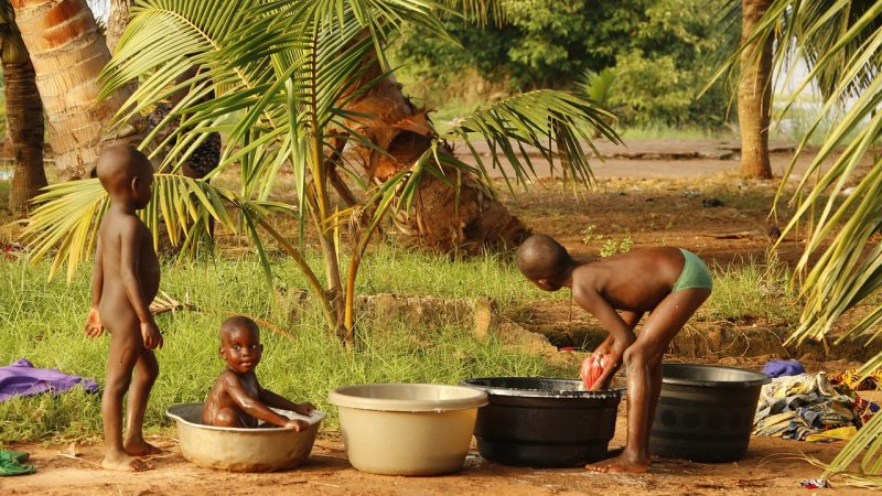 À la rencontre du Benin : circuit voyage culturel et sauvage