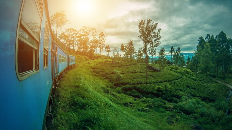 Merveilles naturelles et hospitalité cinghalaise : circuit voyage Sri Lanka