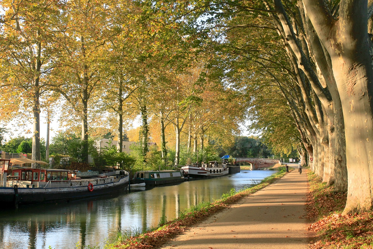 Patrimoine et douceur de vivre : mon circuit voyage Occitanie