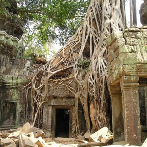 Aventure ancestrale et splendeurs d’Angkor : mon circuit voyage Cambodge