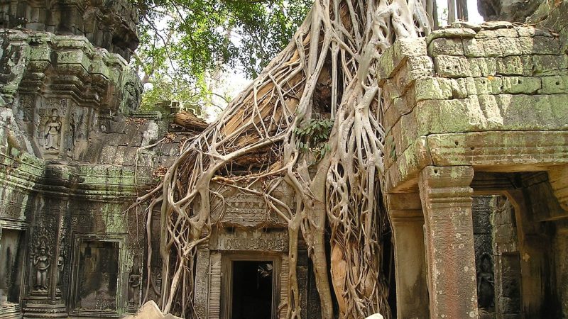 Aventure ancestrale et splendeurs d’Angkor : mon circuit voyage Cambodge