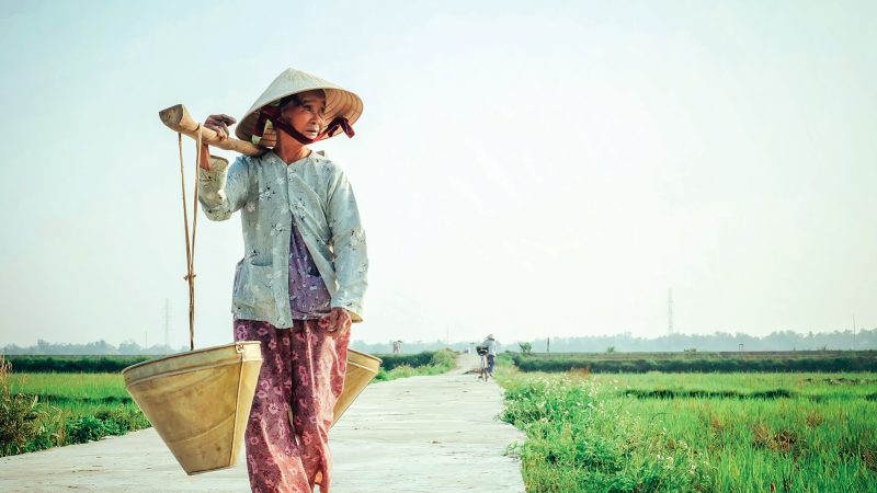 Rizières en terrasses et culture millénaire : découvertes du circuit voyage Vietnam