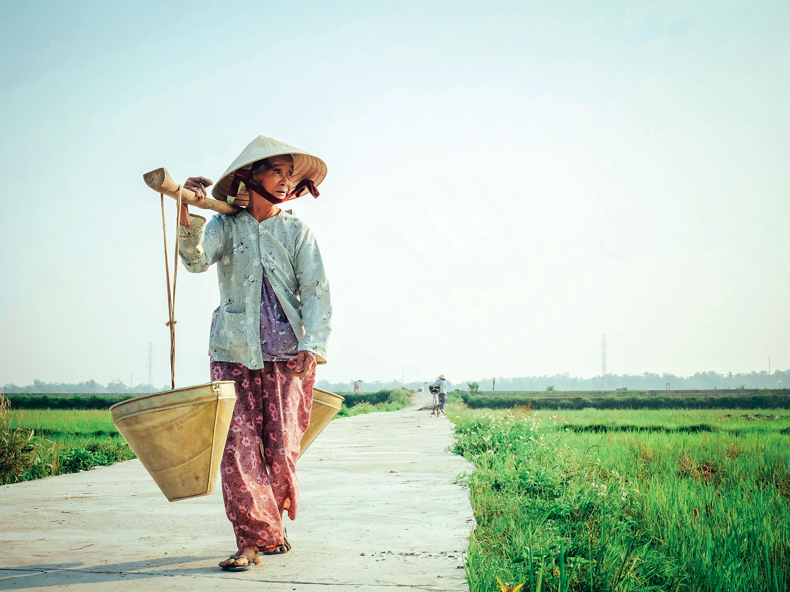 Rizières en terrasses et culture millénaire : découvertes du circuit voyage Vietnam