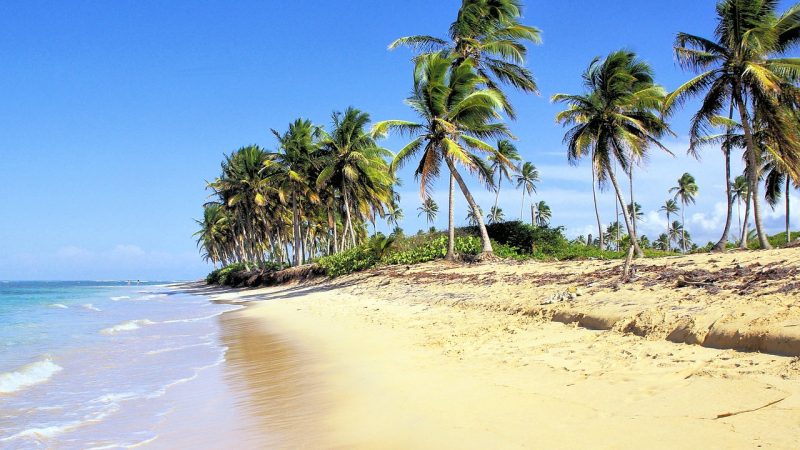 Caraïbes, cigares et plages de sable : circuit voyage République Dominicaine