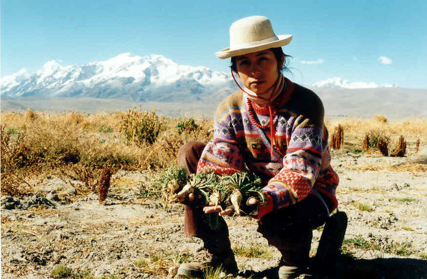 Sur les hauteurs de la Bolivie : un circuit voyage andin