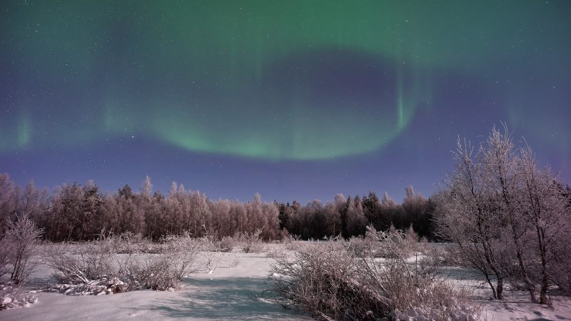 Aurores boréales et immensités blanches : circuit voyage Laponie