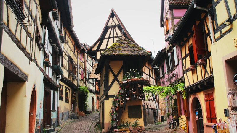 Flânerie en Alsace : circuit voyage entre vignes et châteaux
