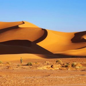 Découvrir l’Algérie autrement avec une agence de voyages locale