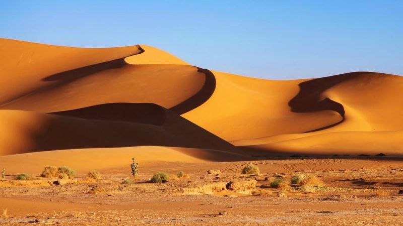 Découvrir l’Algérie autrement avec une agence de voyages locale