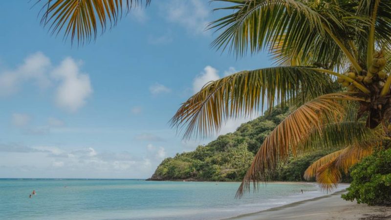 Circuit voyage Guadeloupe : des plages de rêve entre punch coco et forêt tropicale