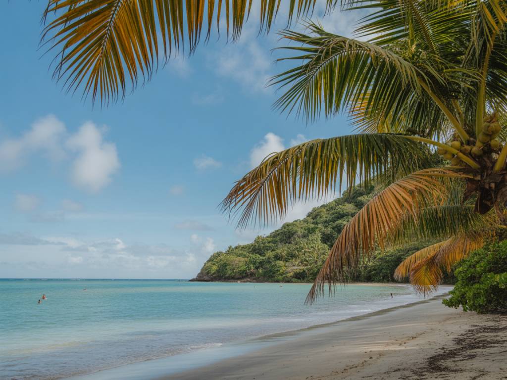 Circuit voyage Guadeloupe : des plages de rêve entre punch coco et forêt tropicale