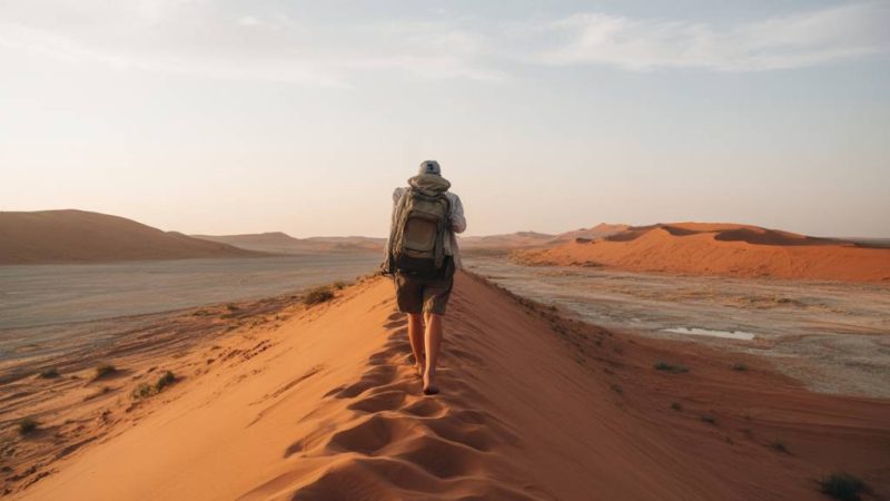 Circuit voyage Namibie : safari, dunes rouges et silence infini