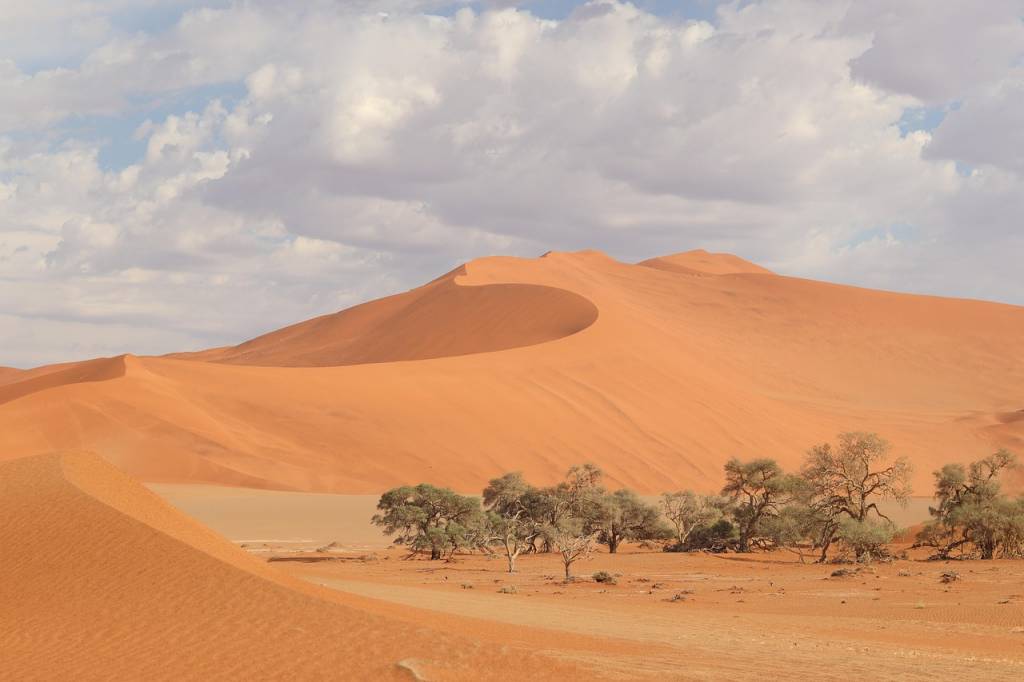 Safari en Namibie : à la rencontre des Big Five dans des paysages lunaires