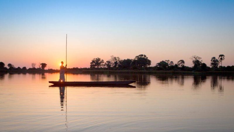 Circuit au Botswana : itinéraire de 10 jours entre nature et culture