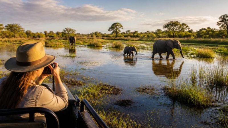 Que faire lors d’un voyage au botswana ?