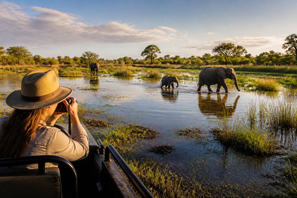 Que faire lors d’un voyage au botswana ?